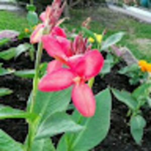 Meet your Posher, Rosa